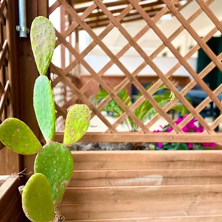 Summer Holiday home Torre San Giovanni Ugento