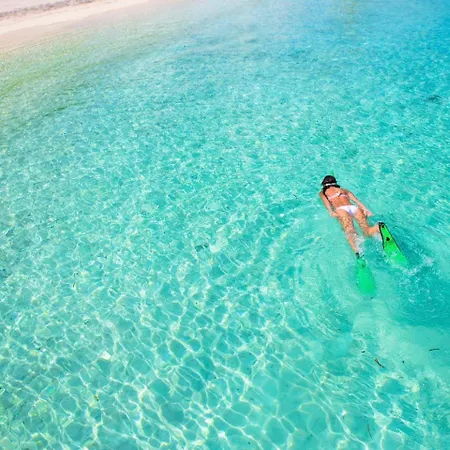 Summer * توري سان جيوفاني أوغينتو